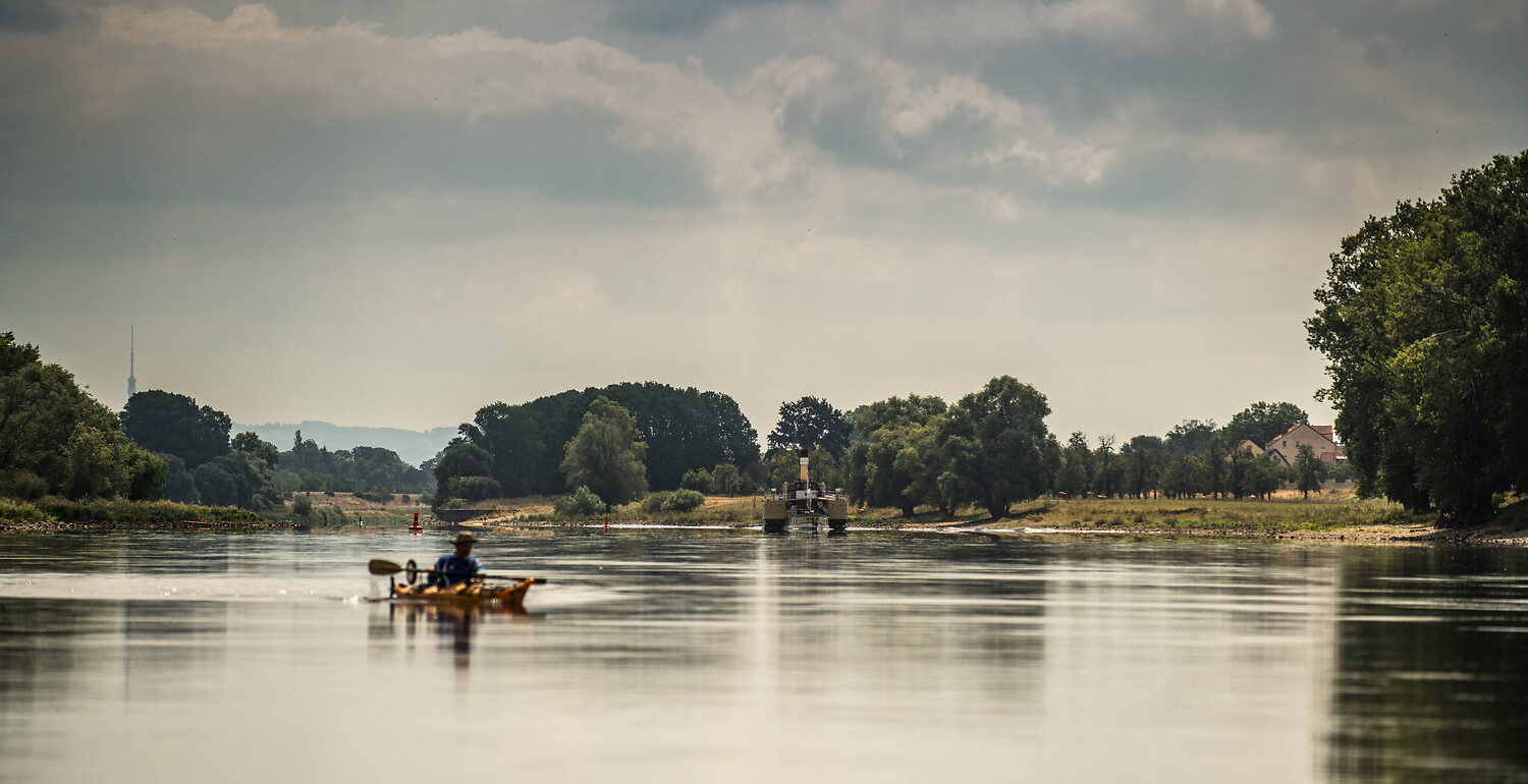 Paddeln auf der Elbe bei Dresden