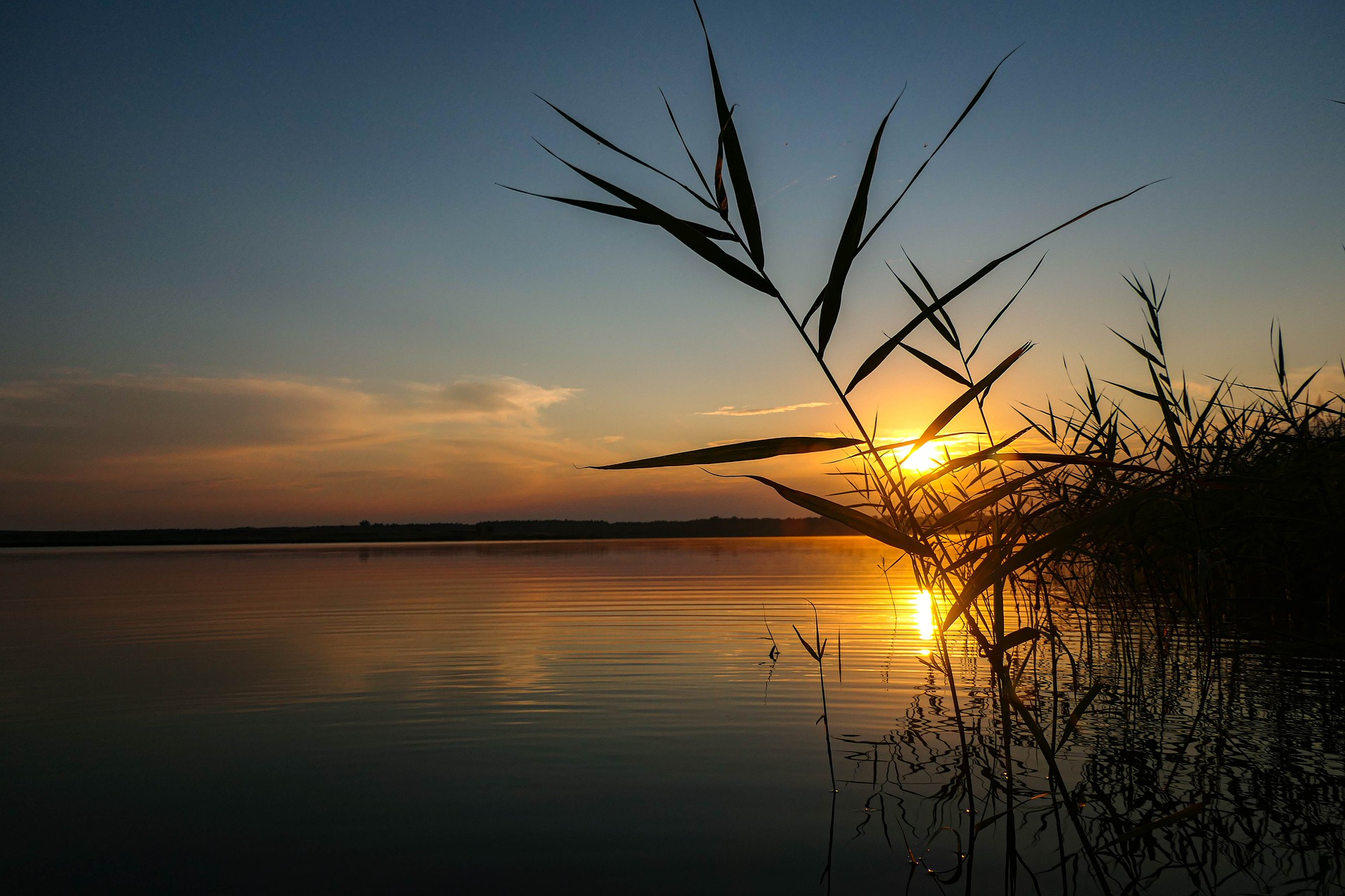 Größter See in Sachsen